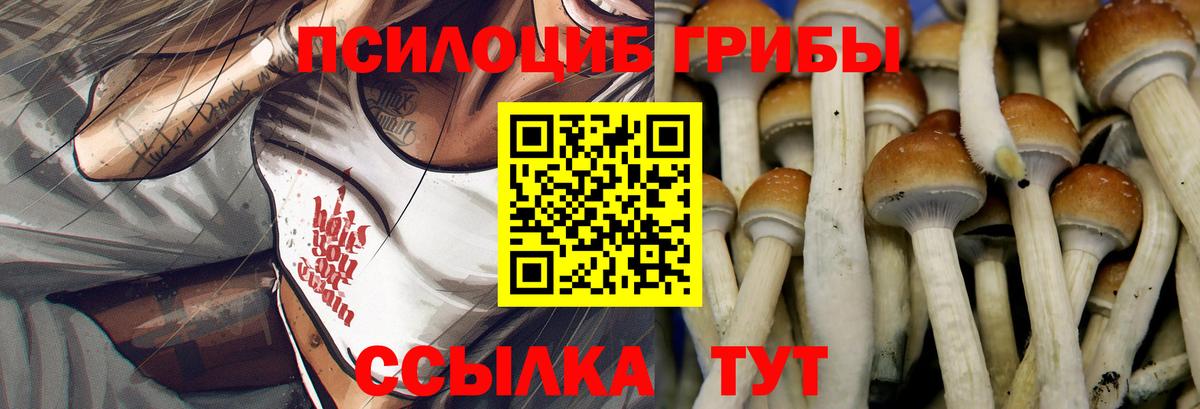 Псилоцибиновые грибы мухоморы Южноуральск
