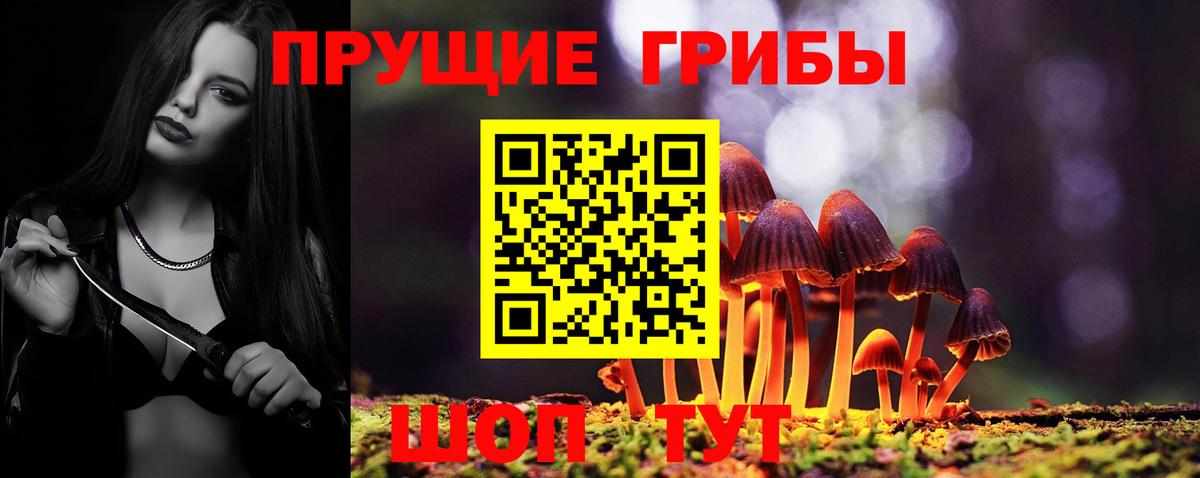 Псилоцибиновые грибы прущие грибы  Вход с VPN  Южноуральск 